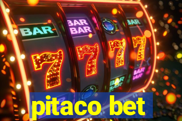 pitaco bet