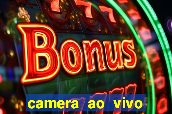 camera ao vivo terminal vila nova cachoeirinha