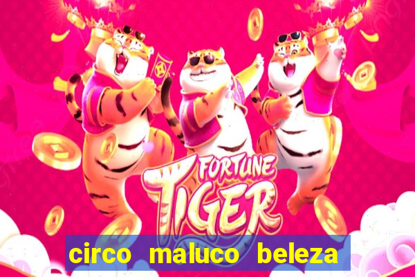 circo maluco beleza recife circo maluco