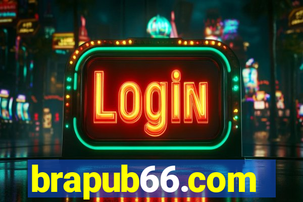 brapub66.com