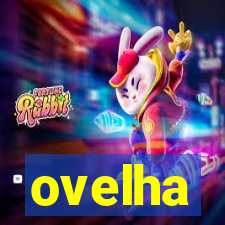 ovelha