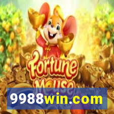 9988win.com