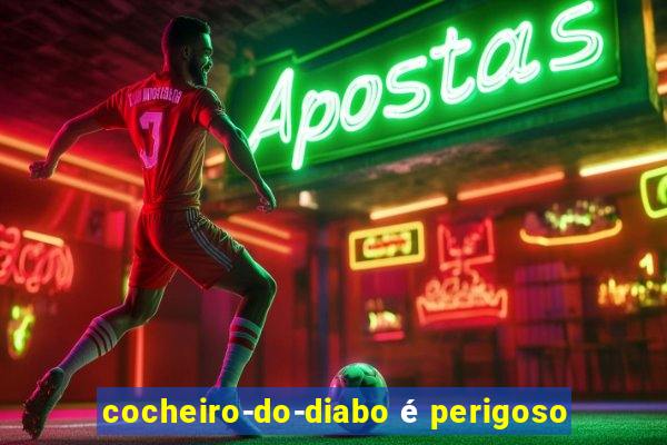 cocheiro-do-diabo é perigoso