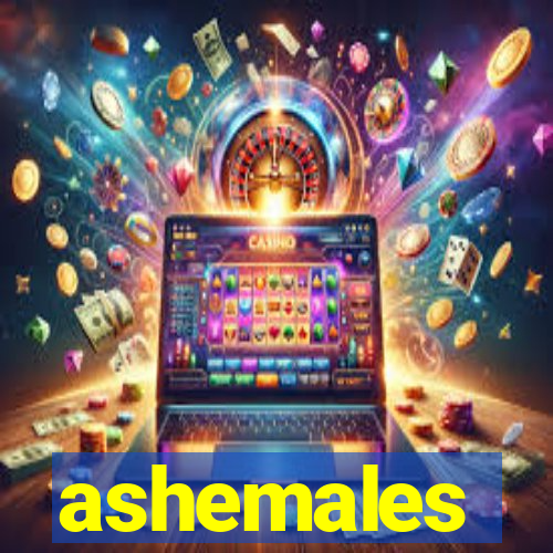 ashemales