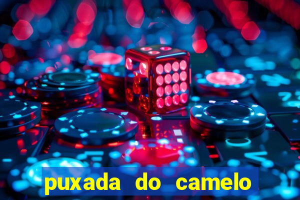 puxada do camelo no jogo do bicho