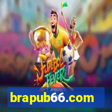 brapub66.com