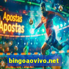 bingoaovivo.net