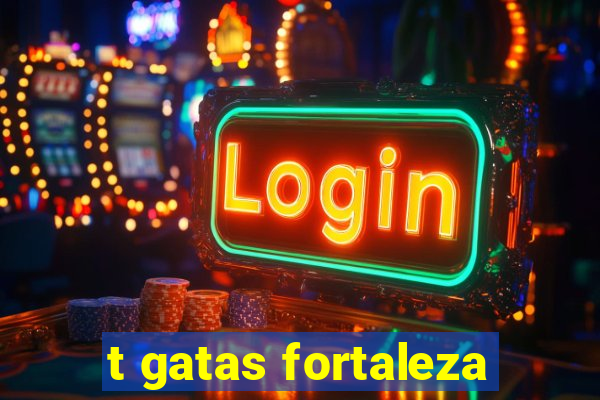 t gatas fortaleza