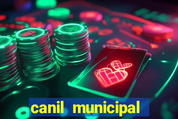 canil municipal porto alegre