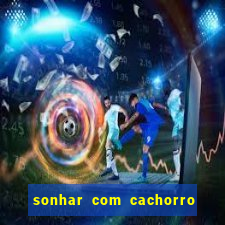 sonhar com cachorro morto jogo do bicho