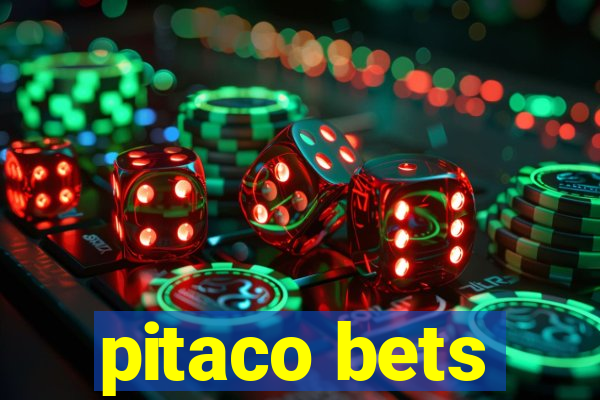 pitaco bets